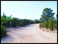 Photo of the view from the casita
