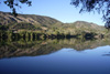 river_view2