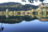 river_view3