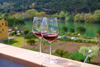 wine_glasses